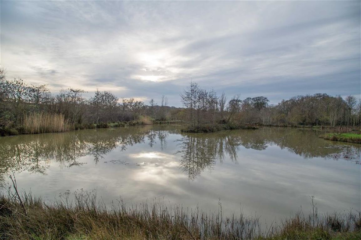 Nr Ashwater, Beaworthy, Devon, EX21 , 4 bed, Type unknown, EX21 5UR, £