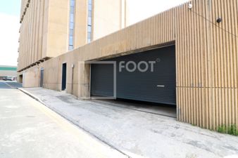 Picture 41