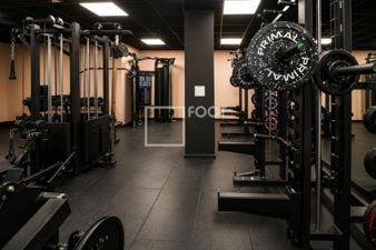 Picture 27