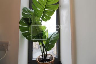 Picture 16