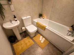Picture 12