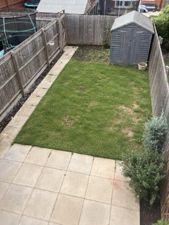 Picture 9