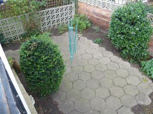 Picture 7