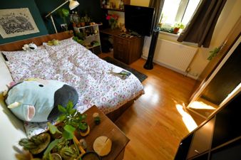 Picture 7