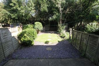 Picture 15