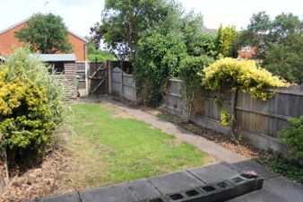 Picture 15