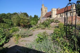 Picture 11