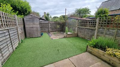 Picture 5