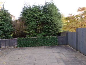 Picture 10