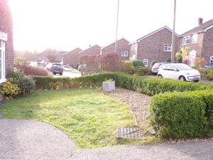 Picture 11