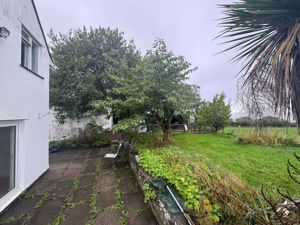 Picture 33
