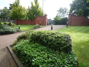 Picture 19