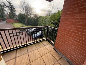 Picture 5