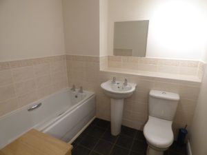 Picture 7