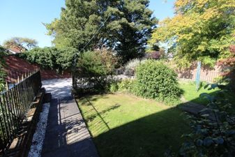 Picture 8