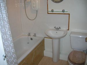 Picture 5