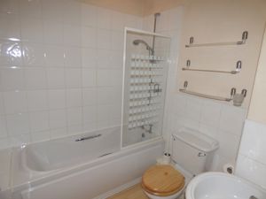 Picture 7