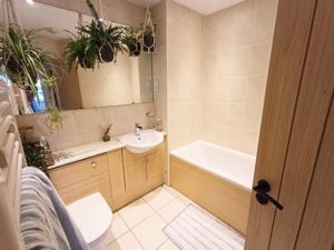 Picture 16
