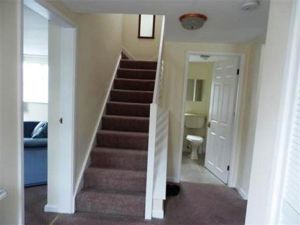 Picture 4