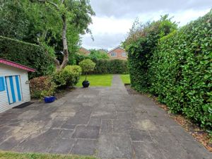 Picture 31