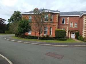 Picture 20