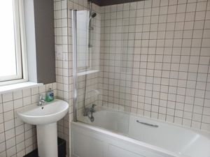 Picture 15