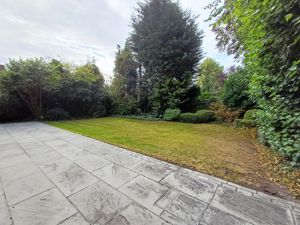 Picture 22