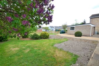 Picture 11