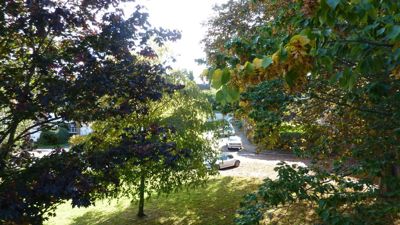 Picture 7