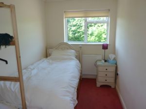 Picture 13