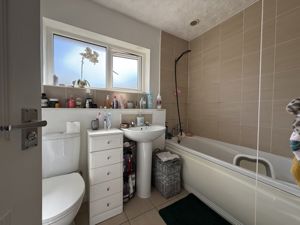 Picture 12
