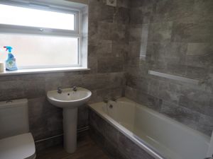 Picture 16