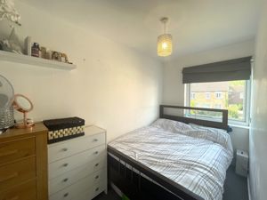 Picture 13
