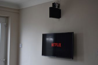 Picture 8