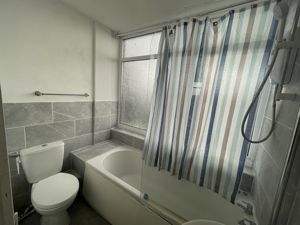 Picture 13