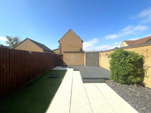 Picture 15