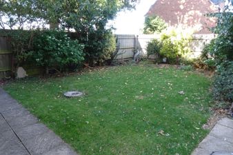 Picture 24