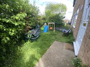 Picture 15