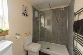 Picture 7