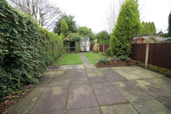 Picture 14