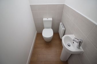 Picture 14