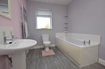 Picture 13