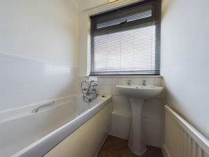 Picture 12