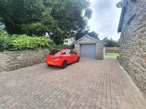 Picture 25