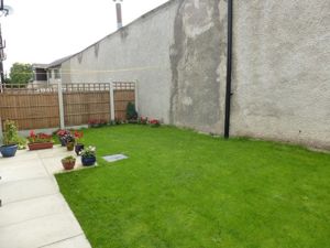 Picture 13
