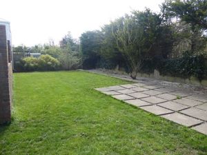 Picture 27