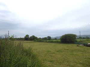 Picture 20