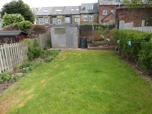 Picture 19