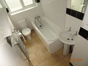 Picture 12