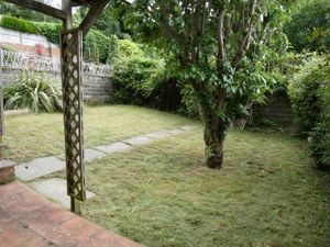 Picture 17